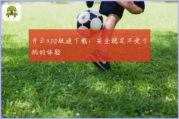 开云app极速下载，安全稳定不受干扰的体验