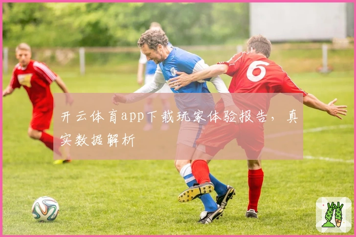 开云体育app下载玩家体验报告，真实数据解析