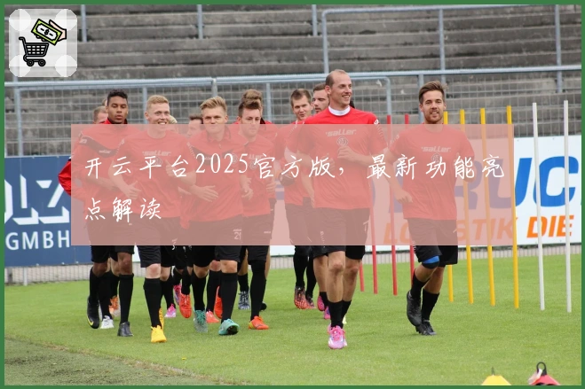 开云平台2025官方版，最新功能亮点解读